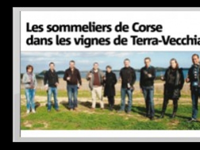 "Les sommeliers de Corse dans les vignes de Terra Vecchia"